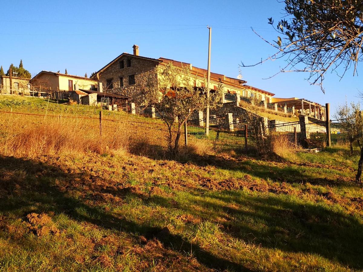 Agriturismo Olimpo Villa Santa Maria  Exterior foto