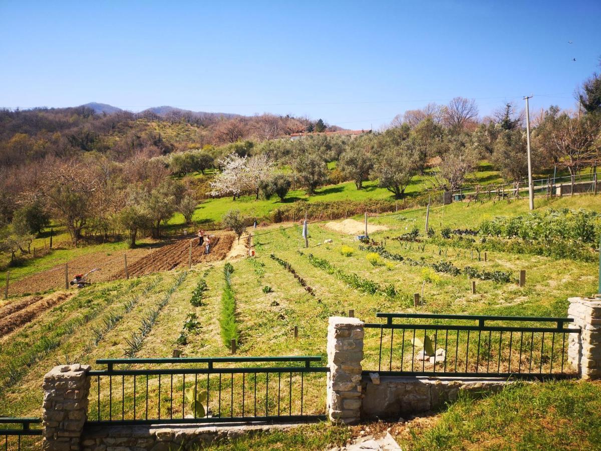 Agriturismo Olimpo Villa Santa Maria  Exterior foto